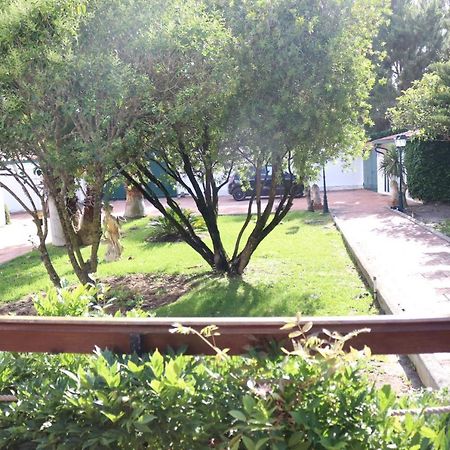 A Quinta Duna Salir de Porto Εξωτερικό φωτογραφία