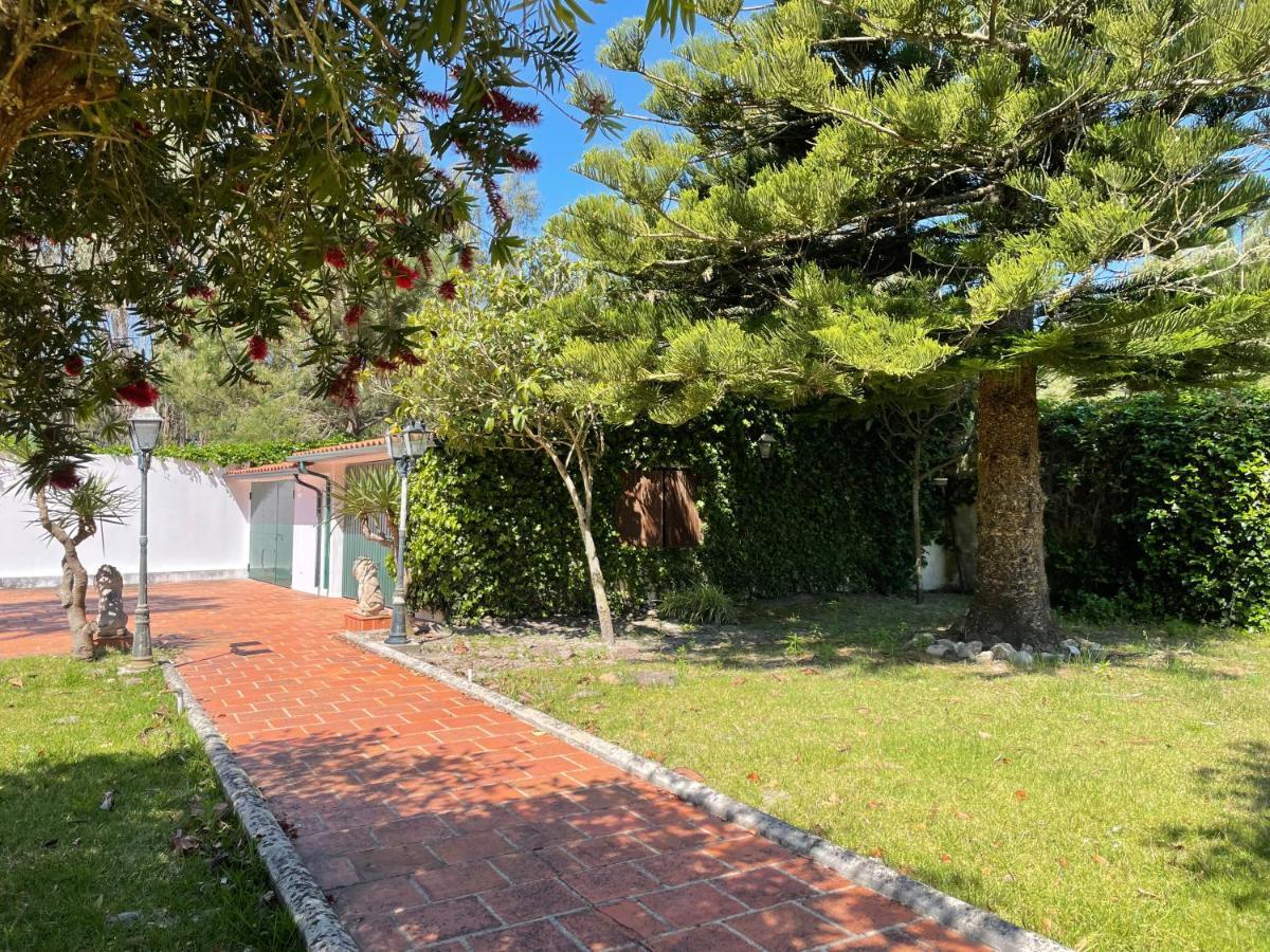 A Quinta Duna Salir de Porto Εξωτερικό φωτογραφία